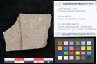 Foto (Objekt + Etikett) von Puccinites zosterae Ettingshausen (NHMW-GEO-2024-0188-6620)